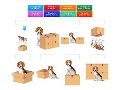 GTW A2 Prepositions of Place: the dog is ___ the box