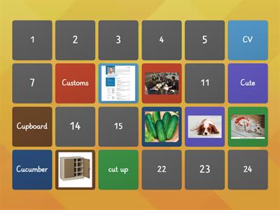 B1 - PRELIMINARY - WORDS STARTING WITH THE LETTER C