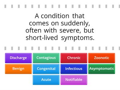 Veterinary Illness Terminology