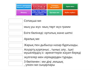 Непарадан келген жалаңаш ұйықтап жатқан Вика