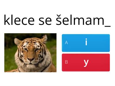 Vzor žena - koncovky