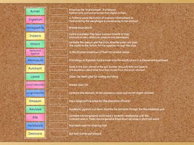 Animal Digestion Ag Science