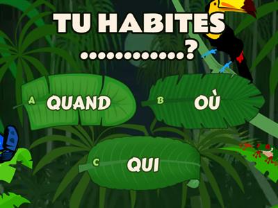  LA QUESTION - fle A1