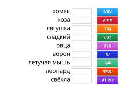 הוטרינר - חוברת עיצוב בחינוך אוצר מילים