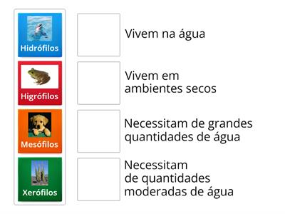 Animais e as suas necessidades de água