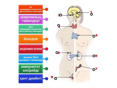 Кроссдресстердің қолдары жоқ анальді оргазм