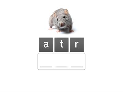 Week 6: CVC Encoding 