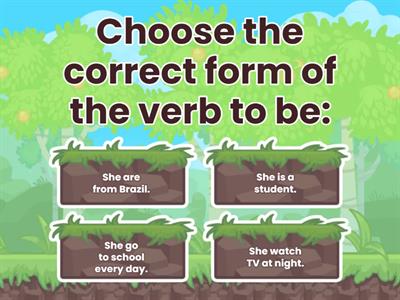 Simple Present - Verb to Be