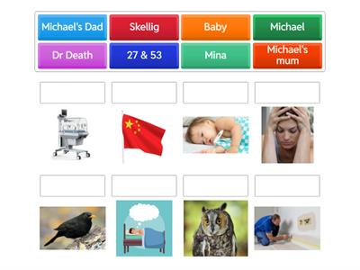 Skellig Match 'em up