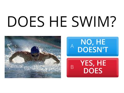  PRESENT SIMPLE Yes/No Questions