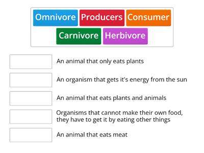 KIDS Food Chain key words