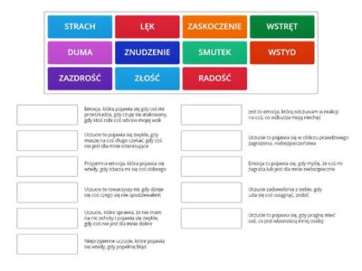 5 EMOCJE - dopasuj nazwę do definicji