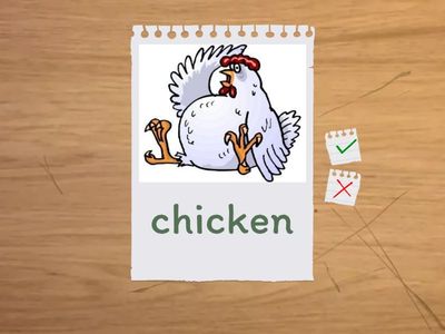 Beehive starter, unit 3, Farm animals 