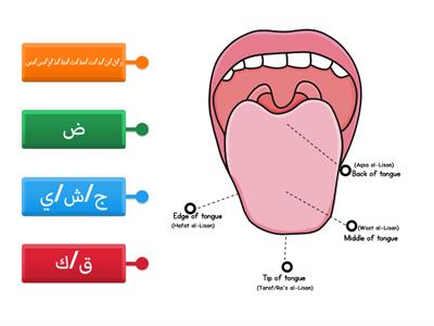 Makharij al-Huruf Activity 3