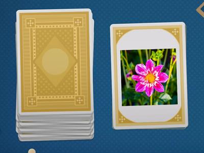 What is it? It is a/an...