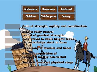 Physical characteristics of the stages of human development