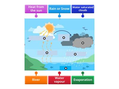rain water cycle diagram