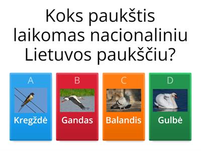 Ką žinai apie Lietuviškas tradicijas bei simbolius?