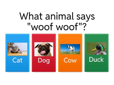 Let´s learn about animals!