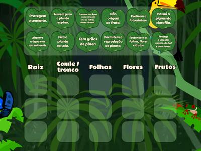 Partes das plantas - funções