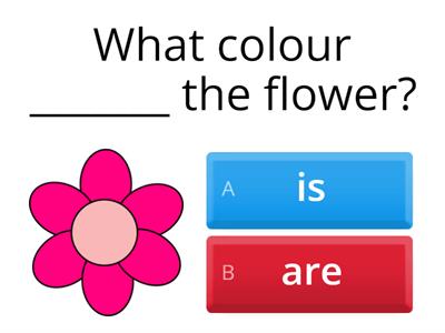 What colour is / are the ____ ? It is / They are ____