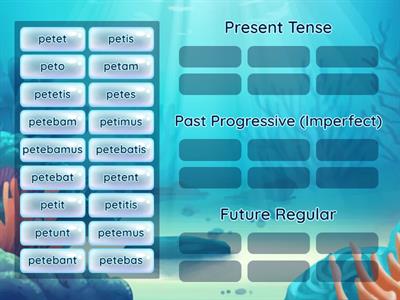 Fun. II: Conjugate Petere