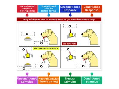 Pavlov's Dogs