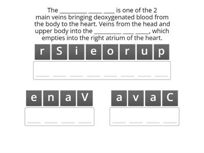 Science  9 - Unit 1 Module 1 Circulatory System Activity 6 Parts & Function