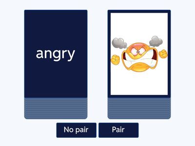 earth u4 vocab pair or not pair