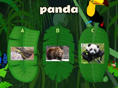 Quiz Animals 