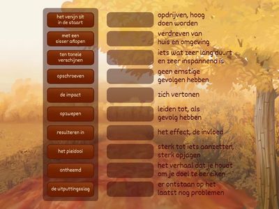 NB D - Categorie hoeveel? Woordenschat # Meester Max