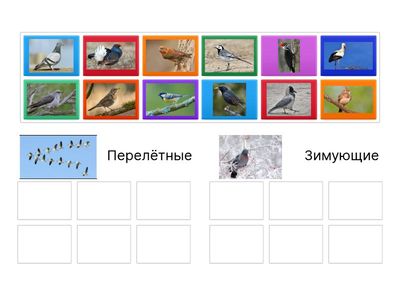Птицы. Перелётные и зимующие