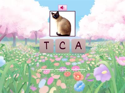 Go Far 1. Unit 3. PETS ANAGRAM