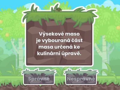 NAP 21.11. Maso II opakování 