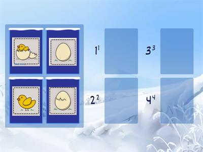 生活事件順序1小雞孵化