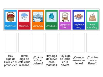 Quantifiers: some, any, many, much. - How many