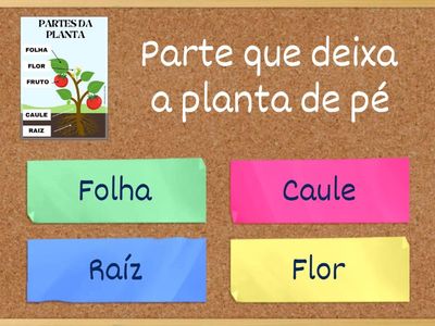 ESTUDO CIÊNCIAS - 2º ANO - SAGRADA