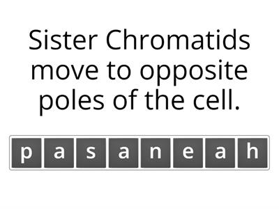 Year 10 Genetics- Lesson 10 