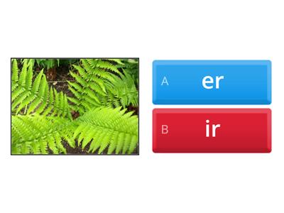 er/ir picture sort & spell