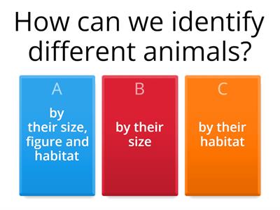 Animals - quiz (science week 13)