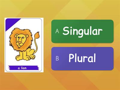 Singular noun and plural noun