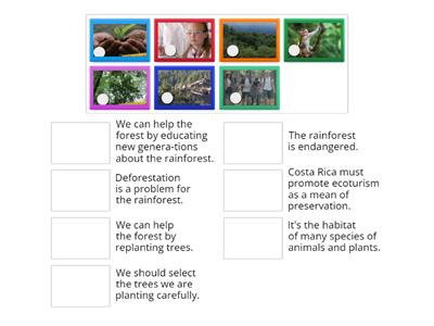 Rainforest descriptions.