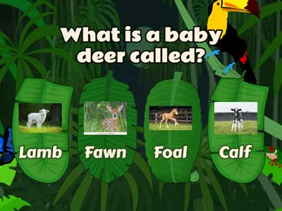  Living Things - Grade 2-