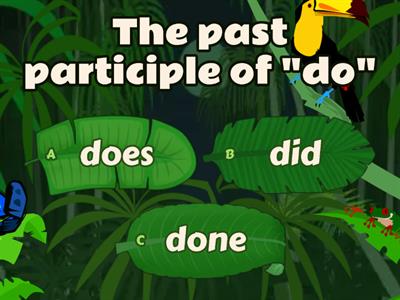 Past Participle Verbs