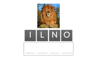 YEAR 3: THE WORLD AROUND US (1)