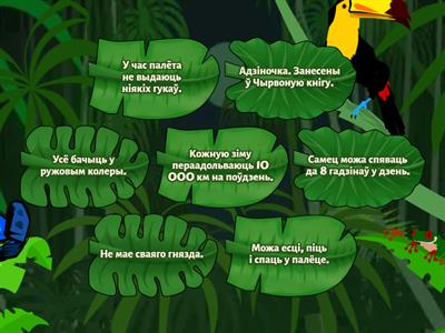 Птушкі Беларусі