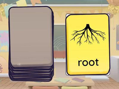 z,w,ng,v,oo,oo word cards