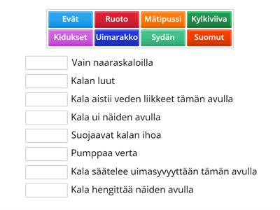 Kalan osien tehtävät