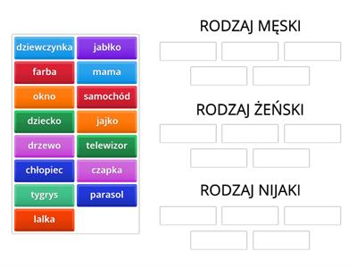 Rodzaje rzeczowników