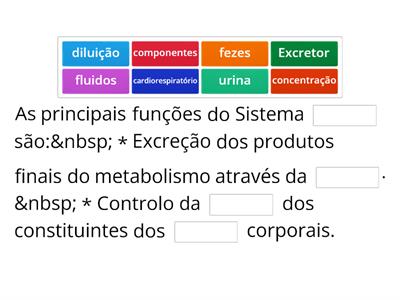 Completa as frases: Sistema Excretor